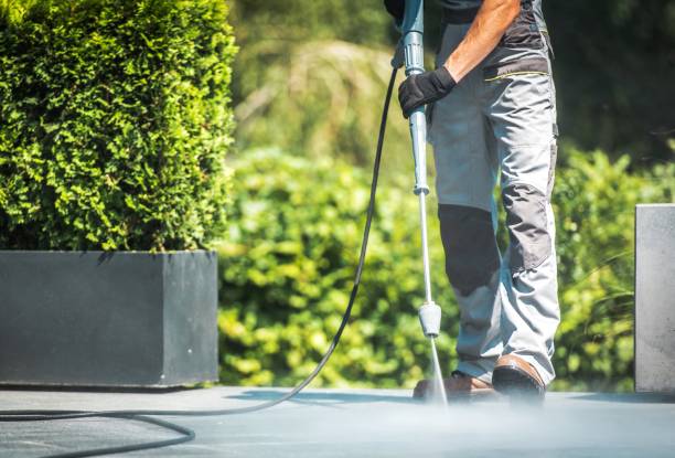 Best Graffiti Removal  in Fruitport, MI