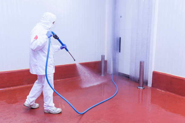  Fruitport, MI Pressure Washing Pros
